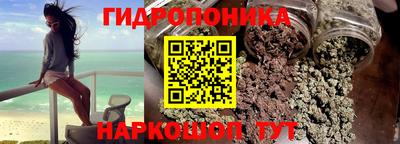 хмурый Гай