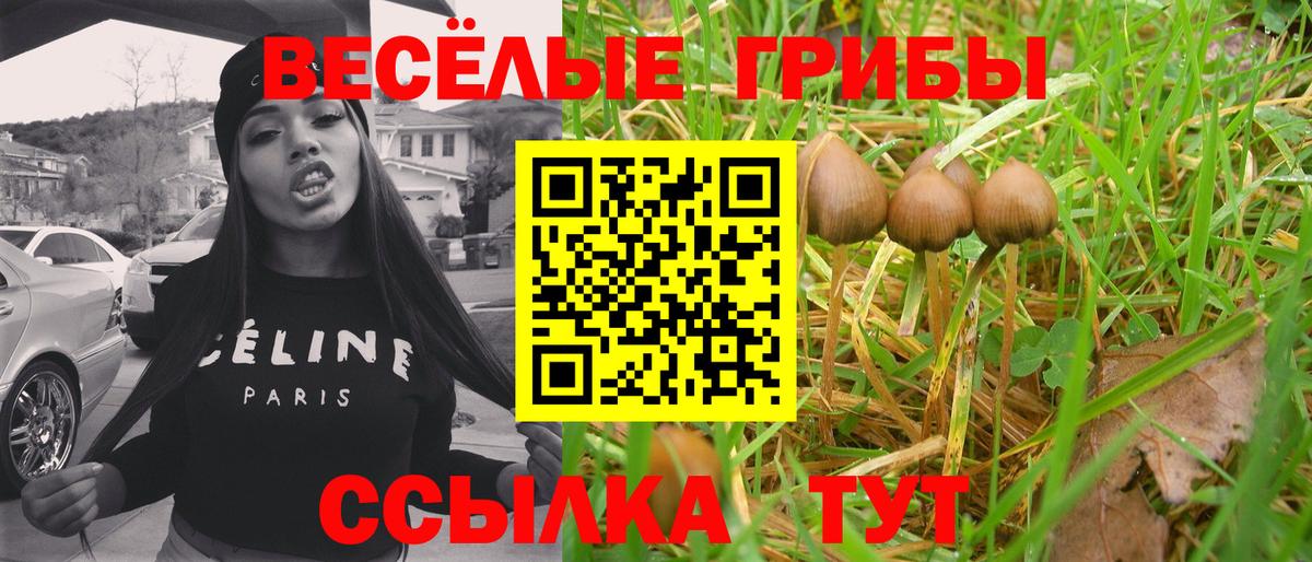 что такое наркотик  Псилоцибиновые грибы GOLDEN TEACHER  Галлюциногенные грибы GOLDEN TEACHER  Вход с VPN  Медногорск 